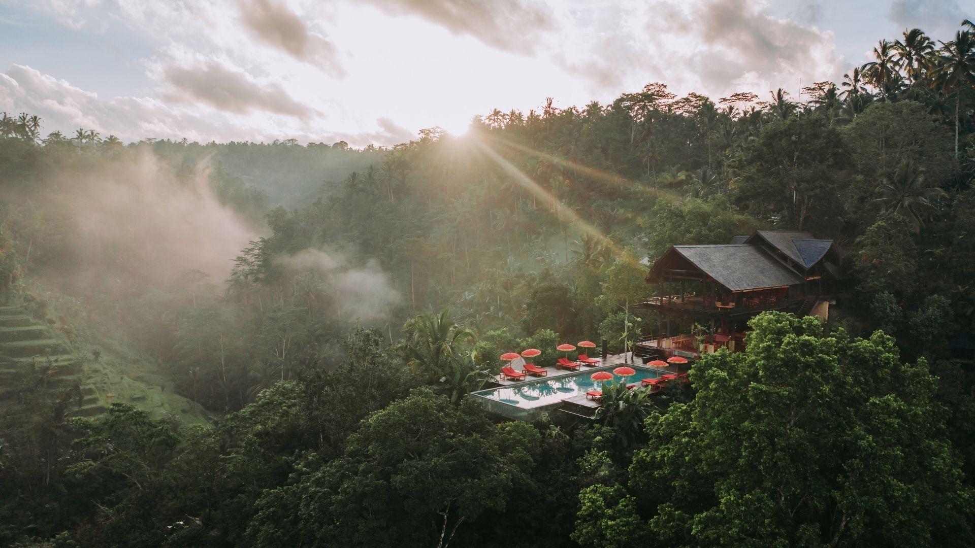 Banyan Tree Escape
