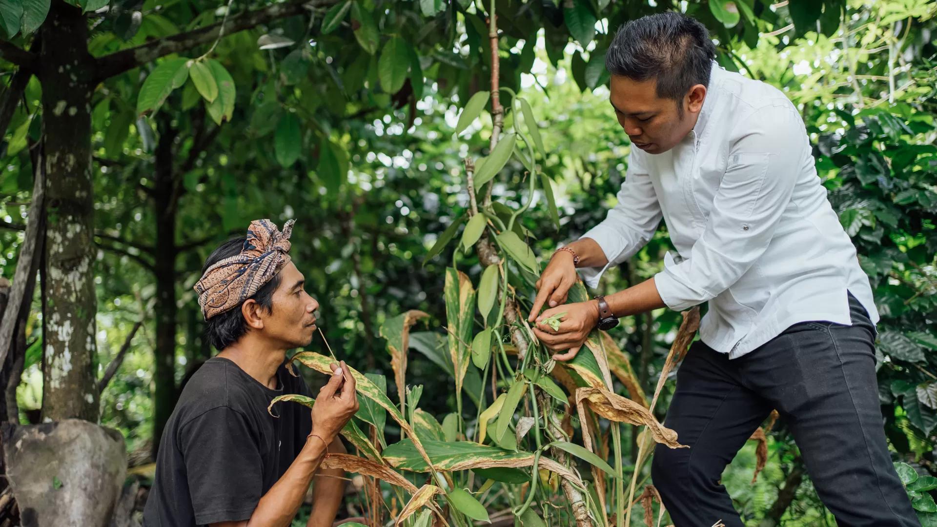 Singaperang Village