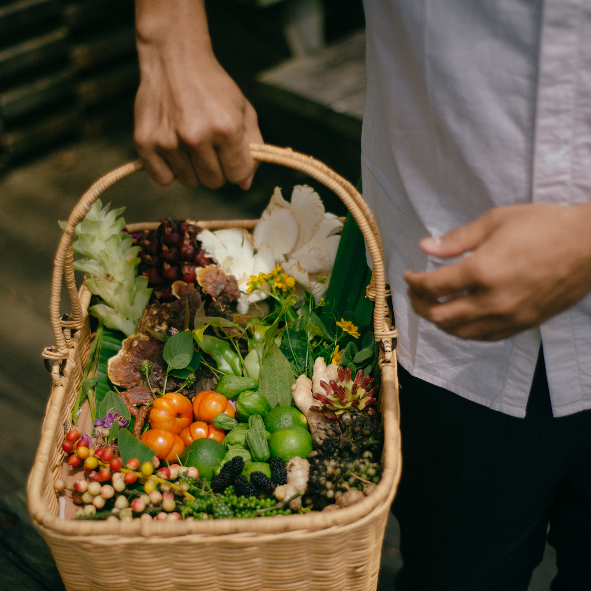 banner of the experience theme